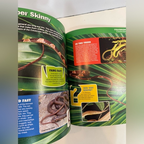 Discovery Snakeopedia: The Complete Guide to Everything Snakes Book for Kids - Picture 5 of 9